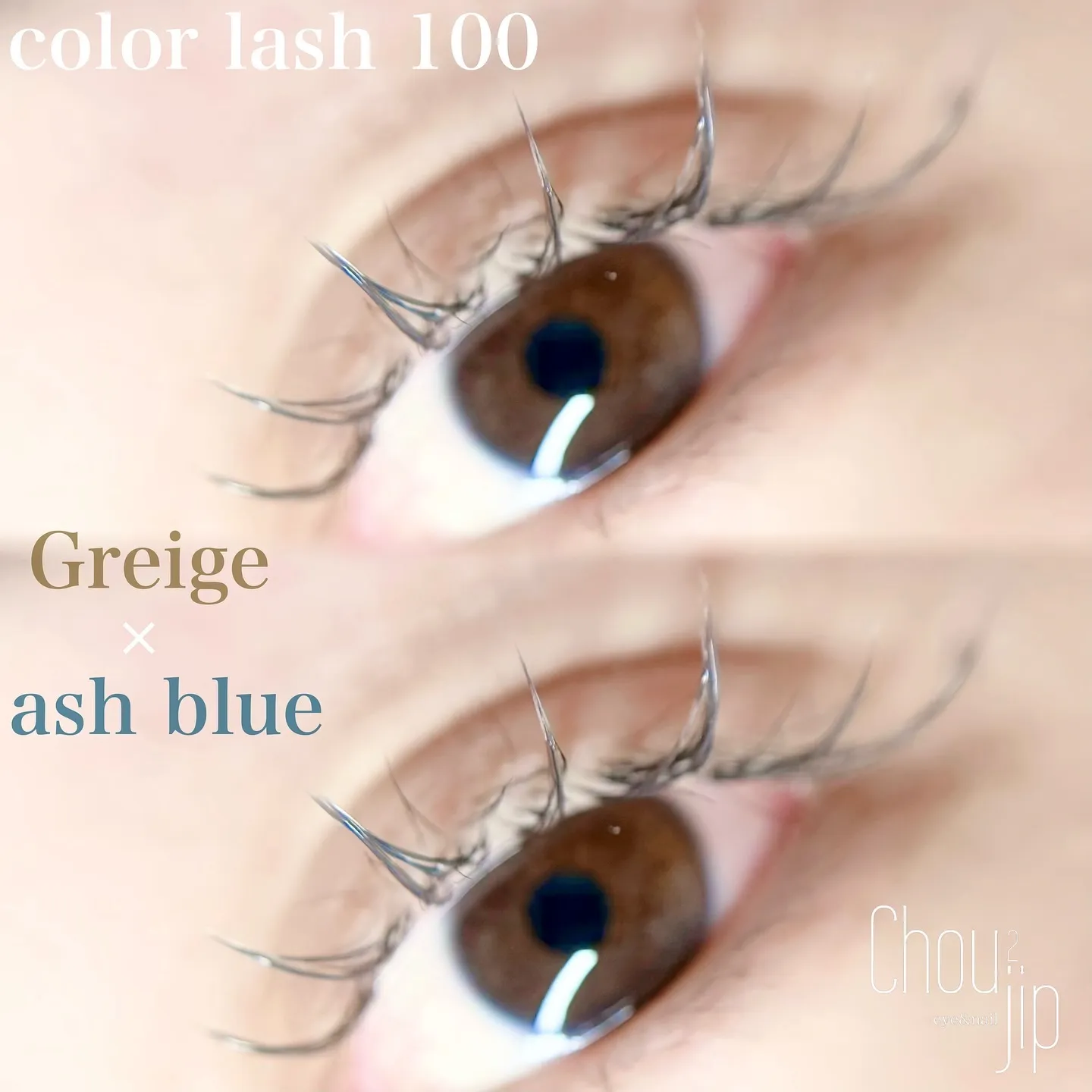 color flat lash 100💙🤎