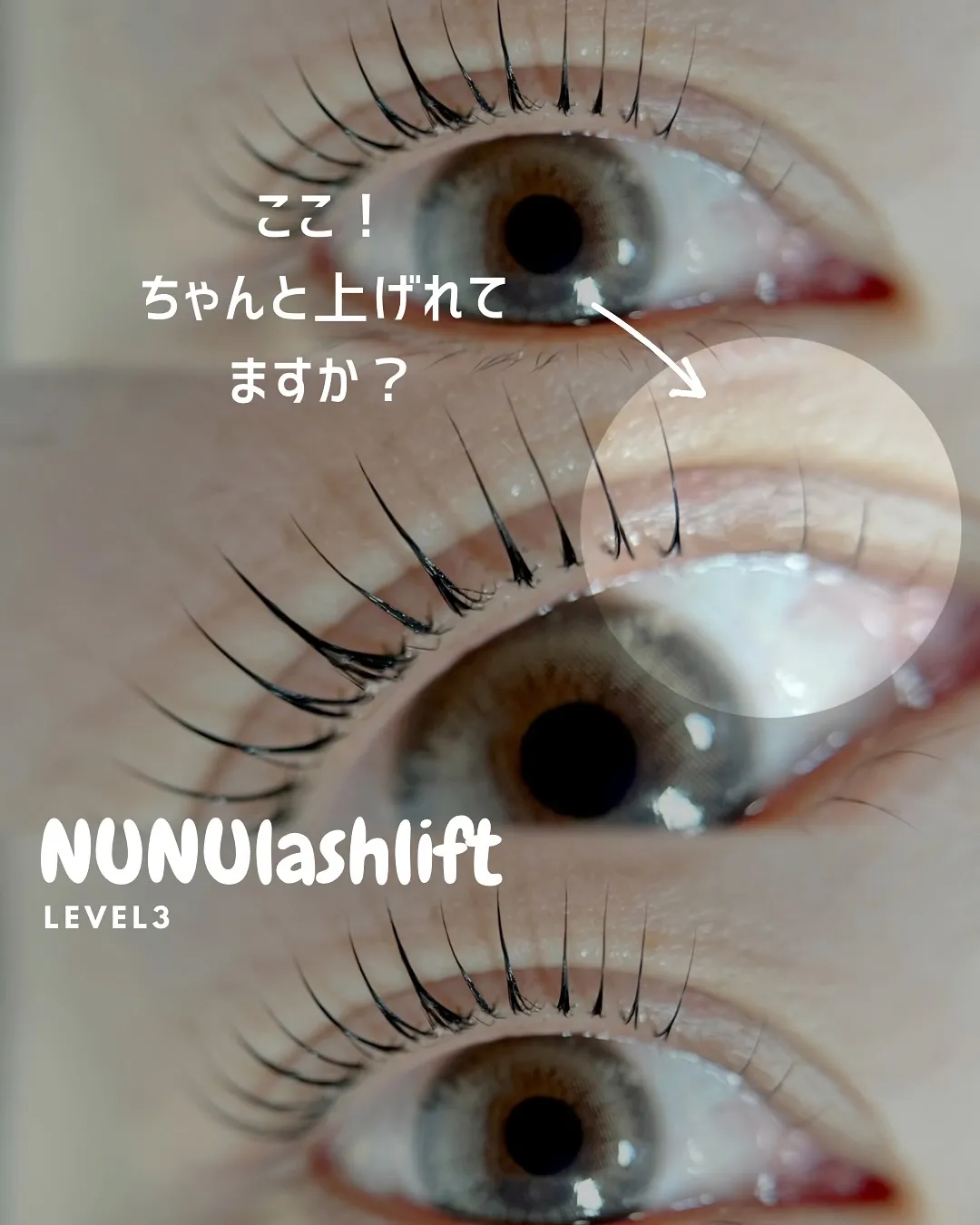 menu𓊆 NUNUlashlift level.3𓊇